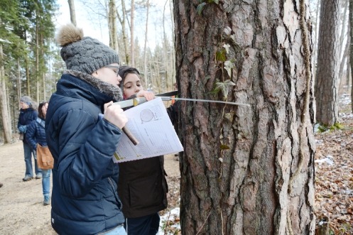 Kinder im Wald messen den Umfang eines Baumstamms